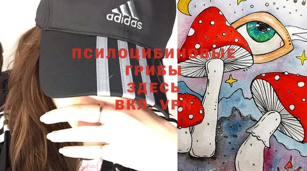 молекула духа Чердынь