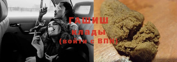 PSILOCYBIN Алзамай