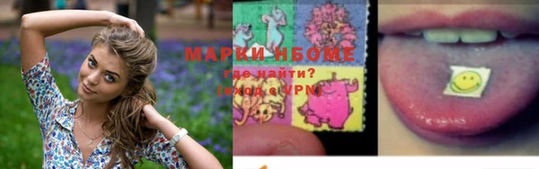 PSILOCYBIN Алзамай