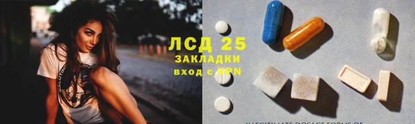 PSILOCYBIN Алзамай