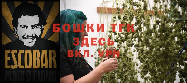 молекула духа Чердынь