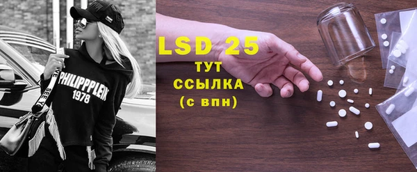 PSILOCYBIN Алзамай