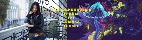 ПСИЛОЦИБИНОВЫЕ ГРИБЫ Алексин