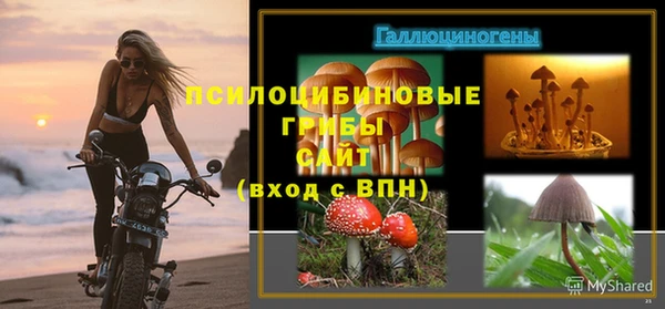 ешки Алексеевка