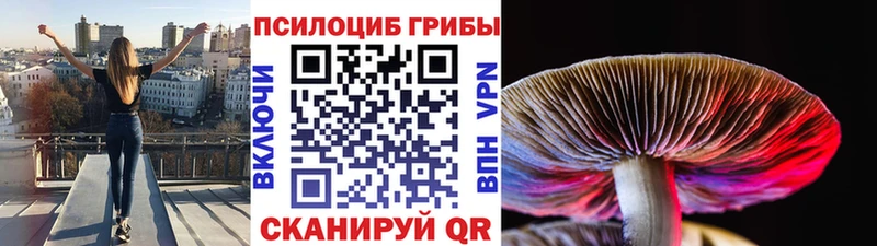 Псилоцибиновые грибы GOLDEN TEACHER  Волгодонск 