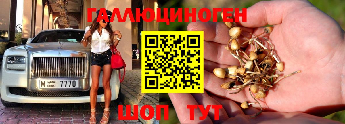 Галлюциногенные грибы ЛСД Волгодонск