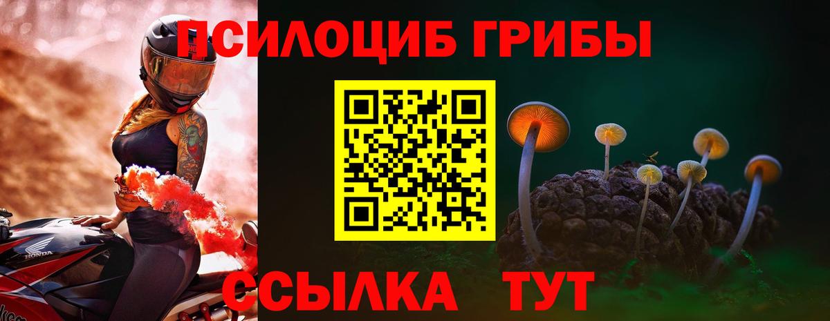 Псилоцибиновые грибы ЛСД  Псилоцибиновые грибы Psilocybe  Вход с VPN  Волгодонск 